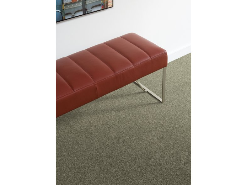 Plexus Carpet