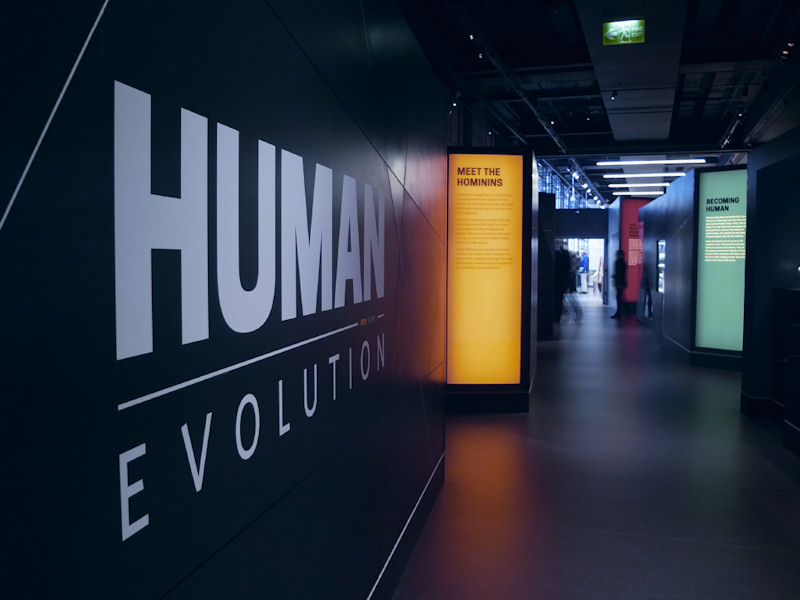 Precision's LED Luminaires Light The Course Of Human Evolution