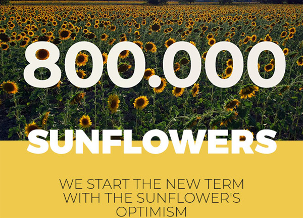 Optimistic sunflower's philosophy - Happy Friday! | ACTIU