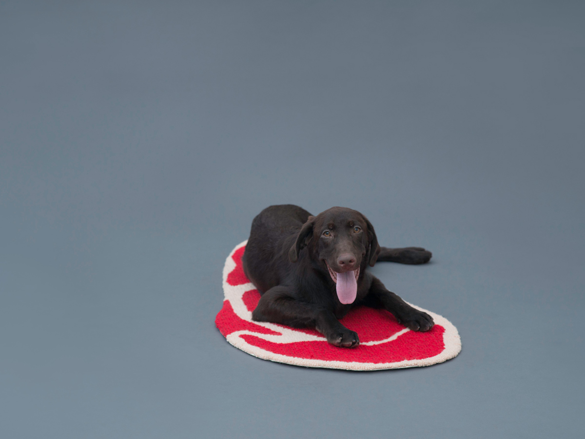 'Architecture for Dogs': The rug designed for Labradors