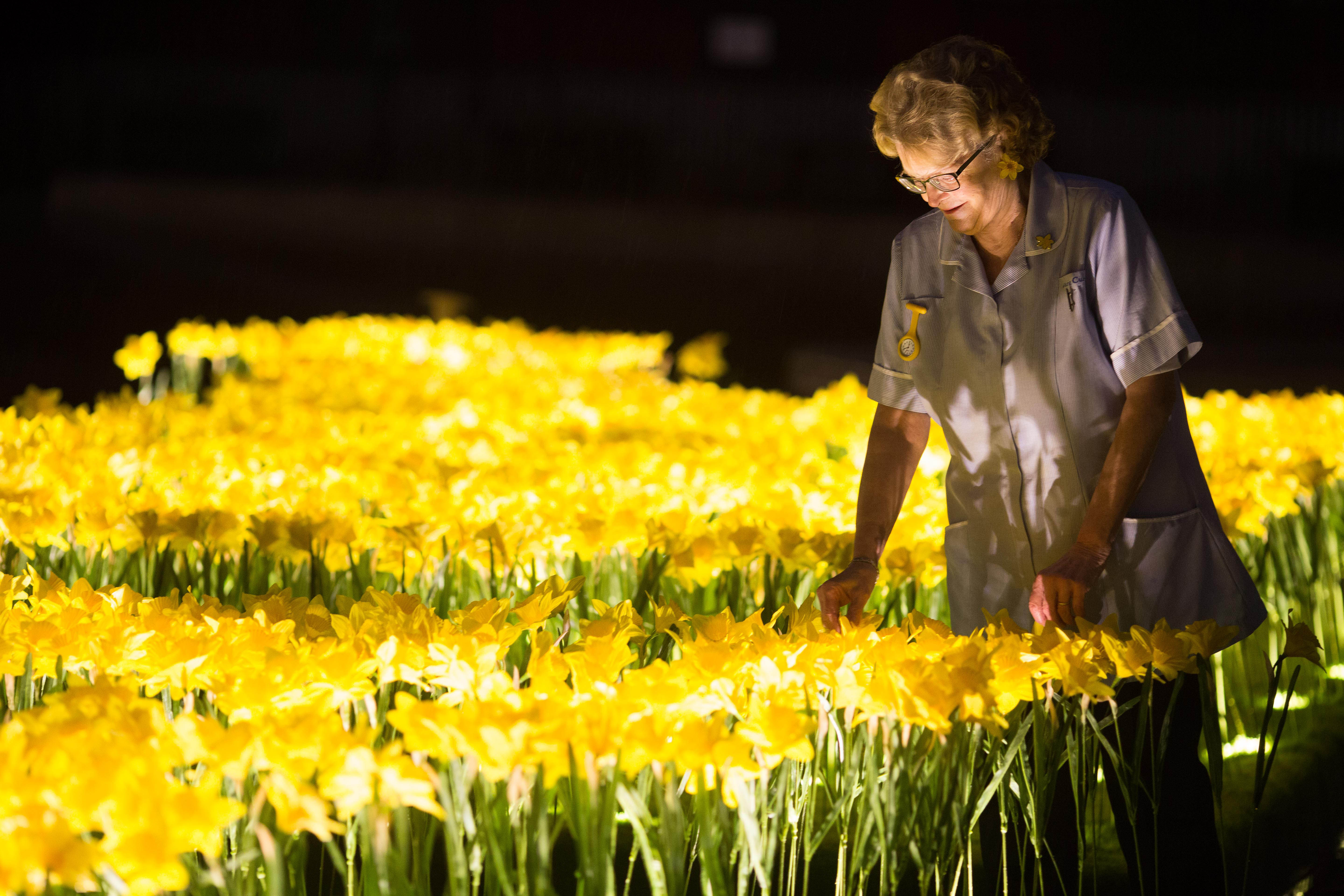 Charity Marie Curie Opens Immersive Art Installation 'Garden of Light' in London