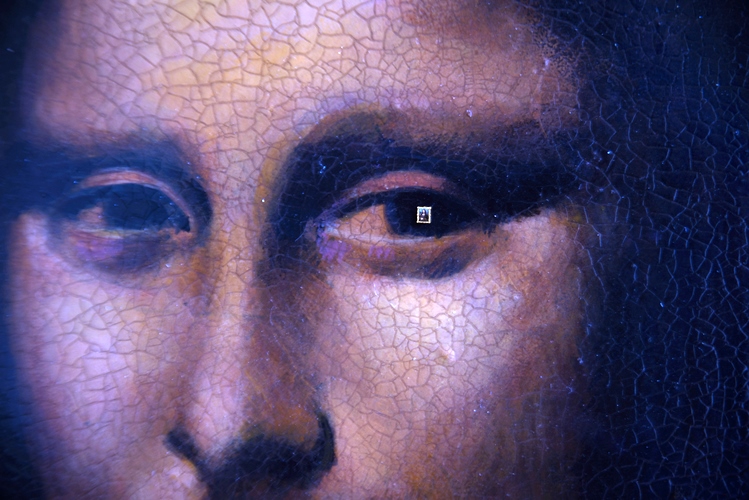Mona Lisa replica painted using eyelash