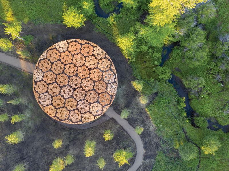 Rise up: Kéré Architecture creates 'forest canopy' pavilion in rural Montana