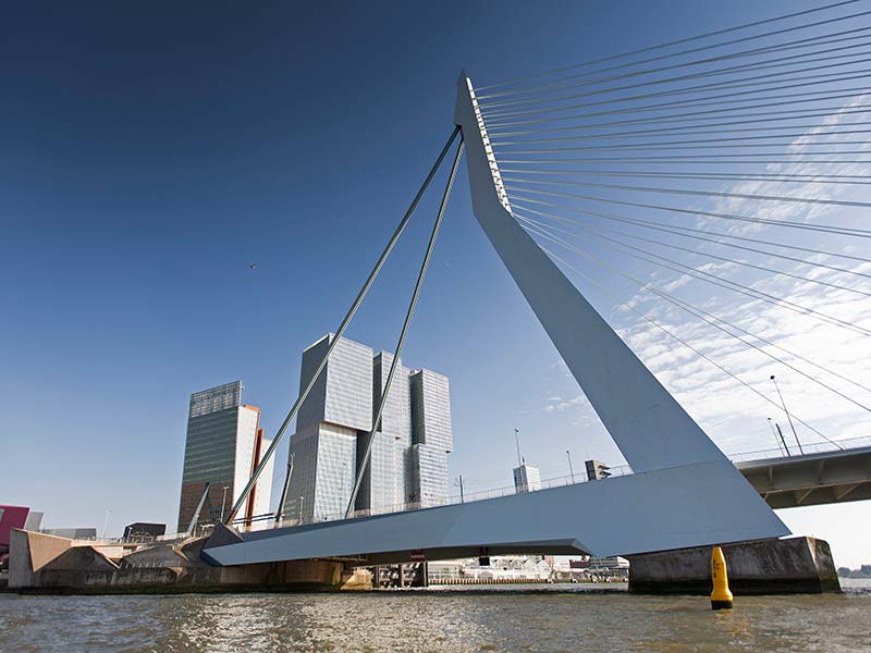 Rotterdam's architecture and culture