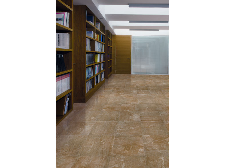 Library in Coto Gold Marble