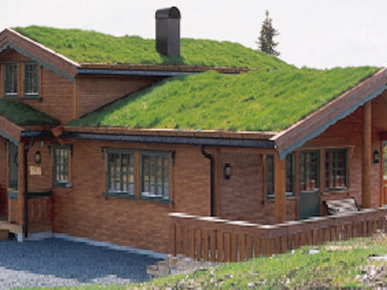 Green Roofs / Living Roofs